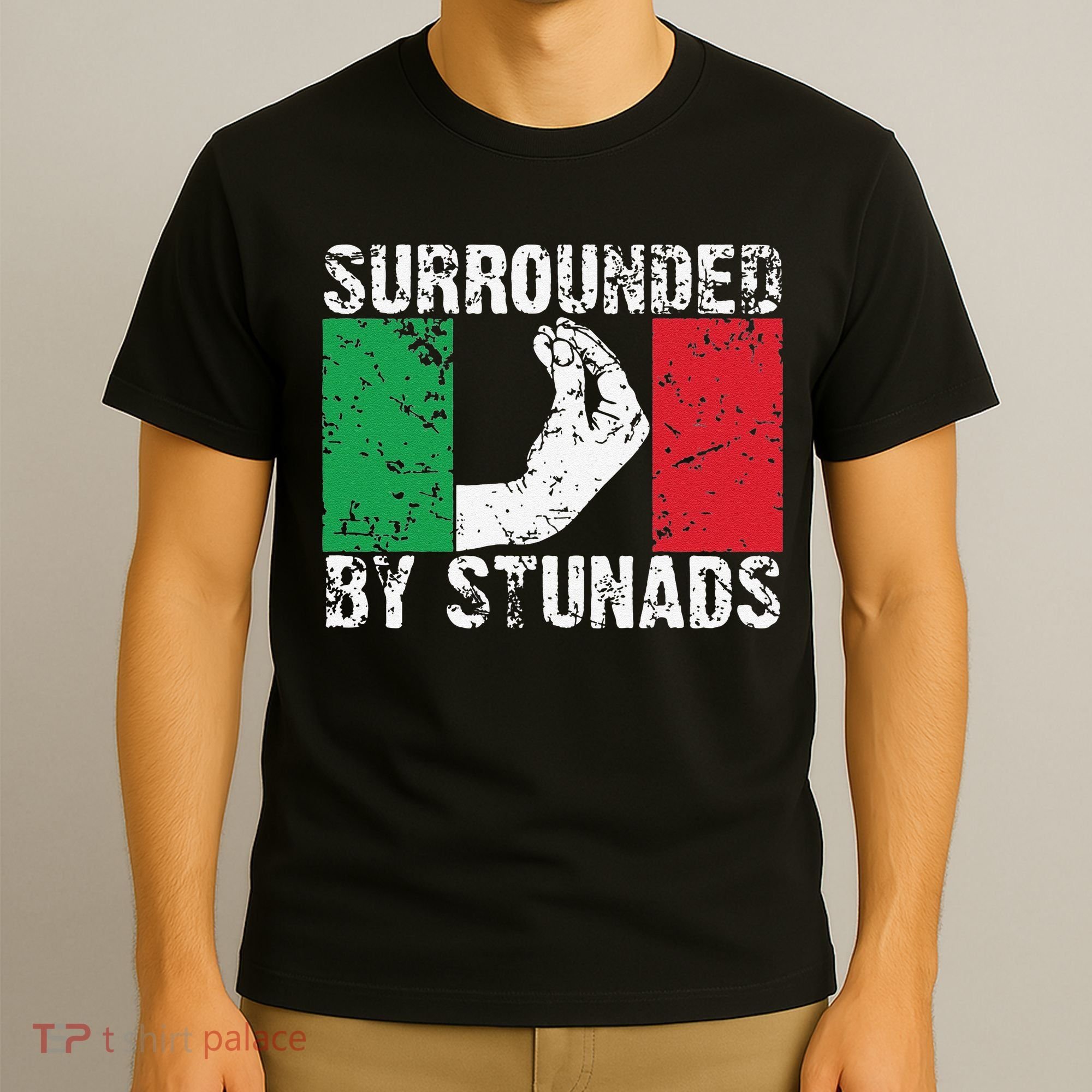 Funny Italian Gift Cool Surrounded By Stunads Gift T-Shirt
