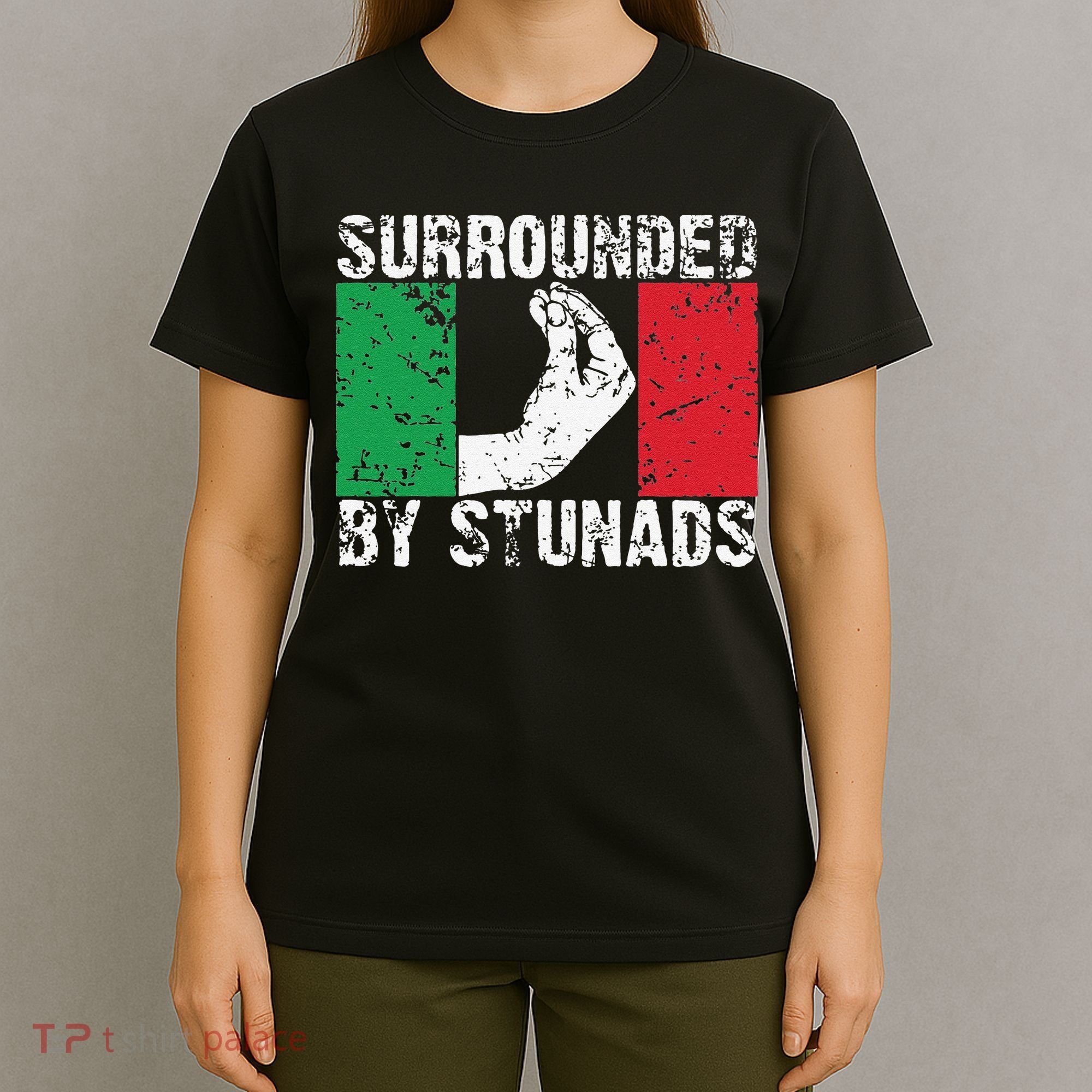Funny Italian Gift Cool Surrounded By Stunads Gift T-Shirt