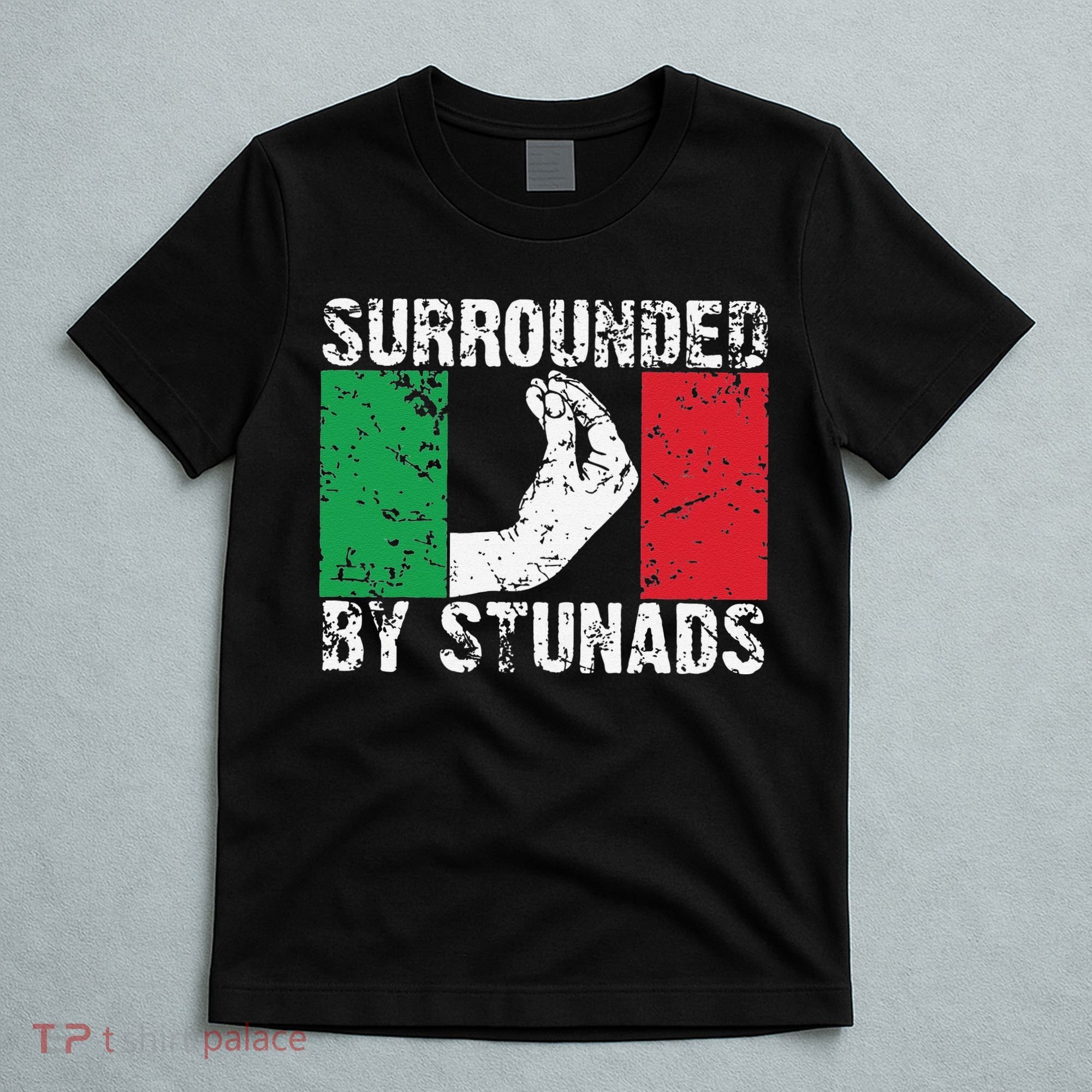 Funny Italian Gift Cool Surrounded By Stunads Gift T-Shirt