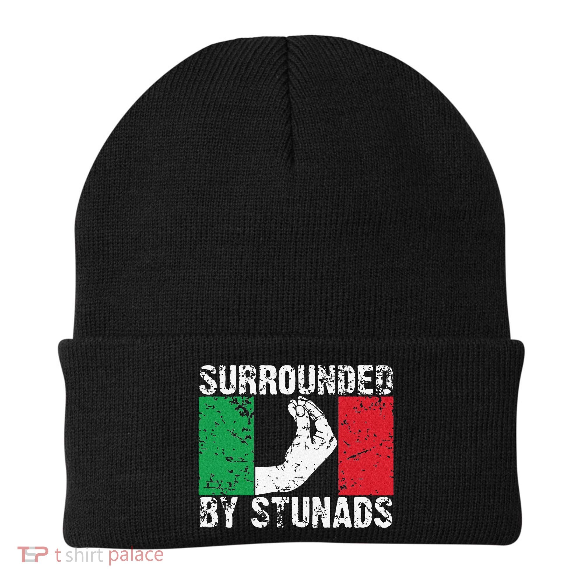Funny Italian Gift Cool Surrounded By Stunads Gift Beanie