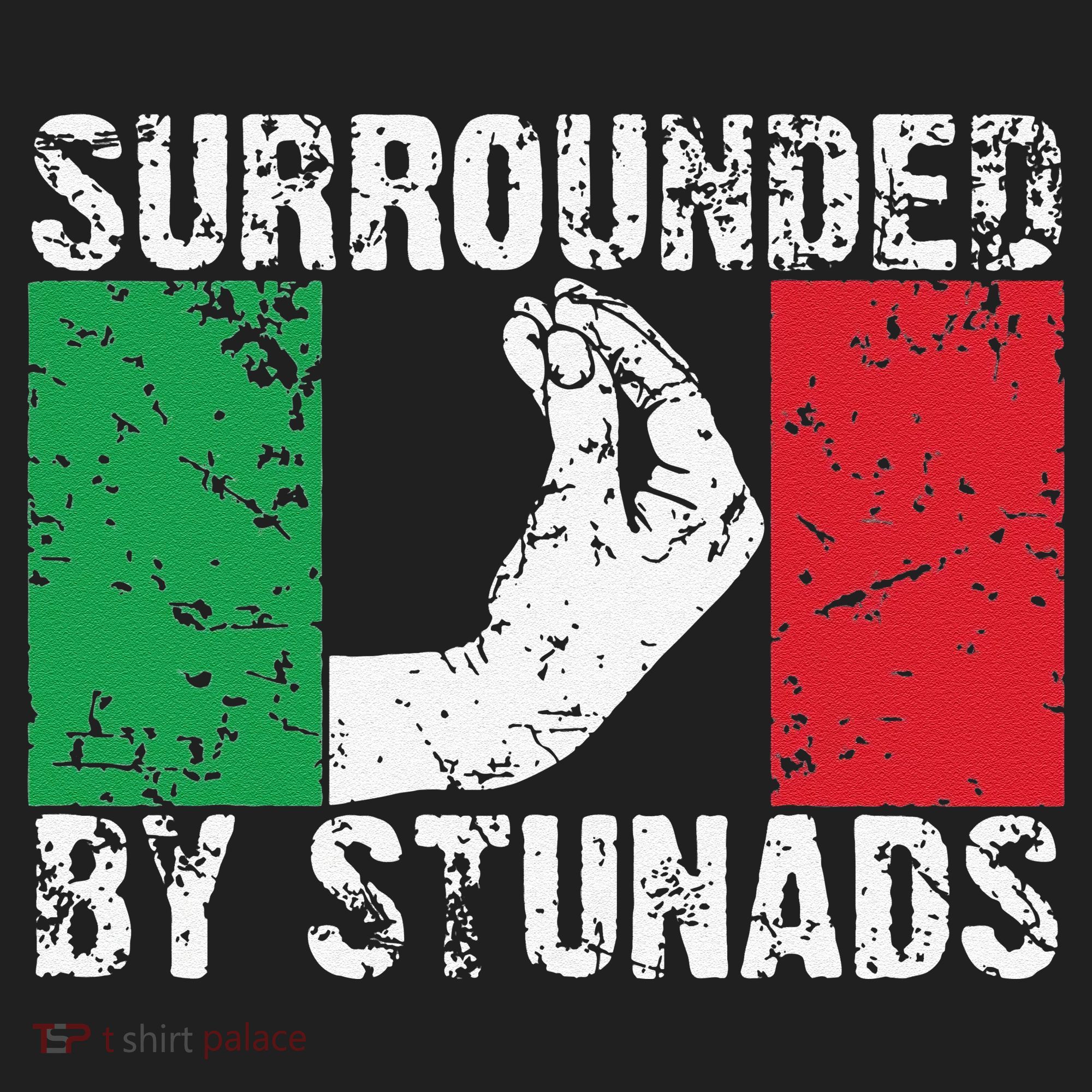 Funny Italian Gift Cool Surrounded By Stunads Gift Beanie