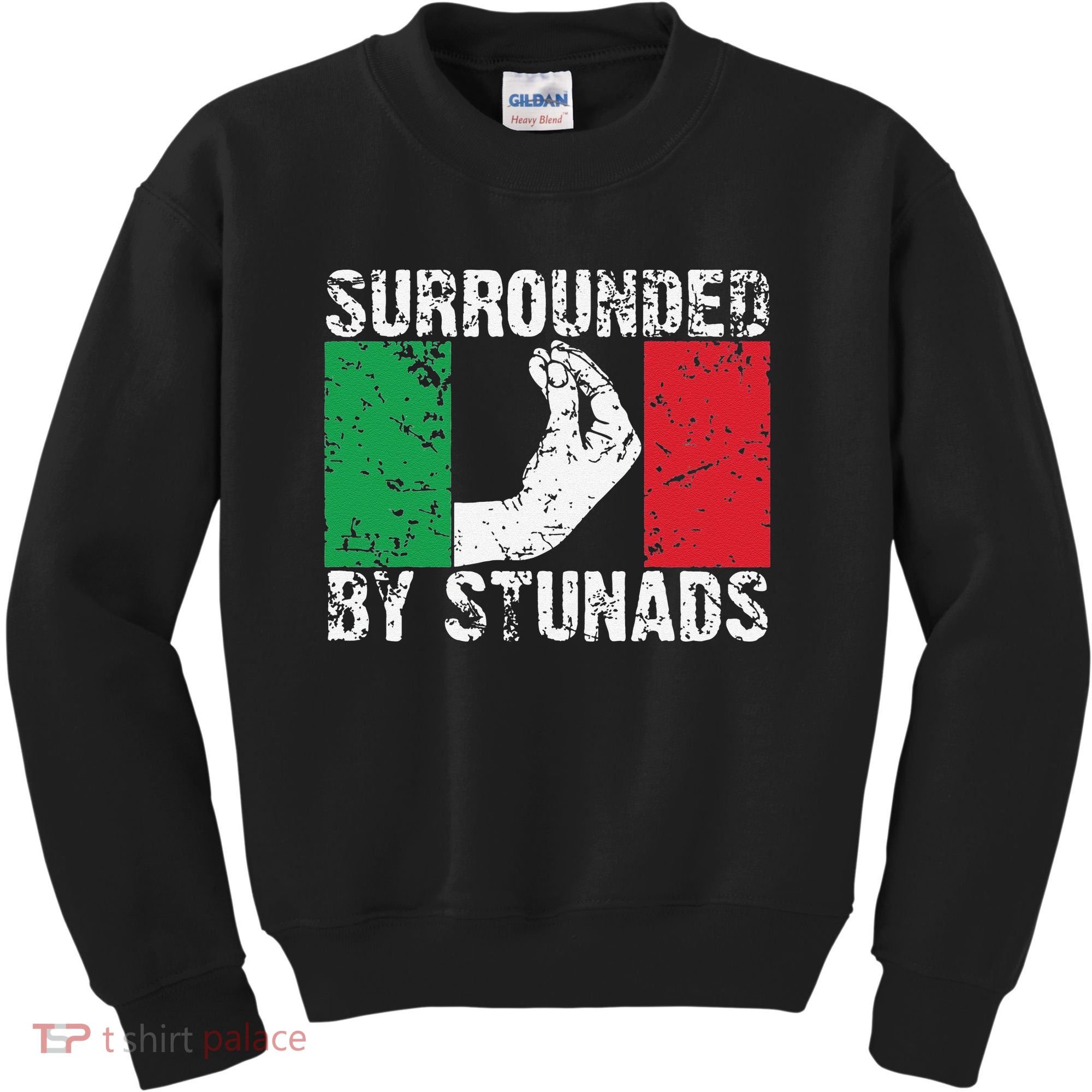 Funny Italian Gift Cool Surrounded By Stunads Gift Kids Sweatshirt