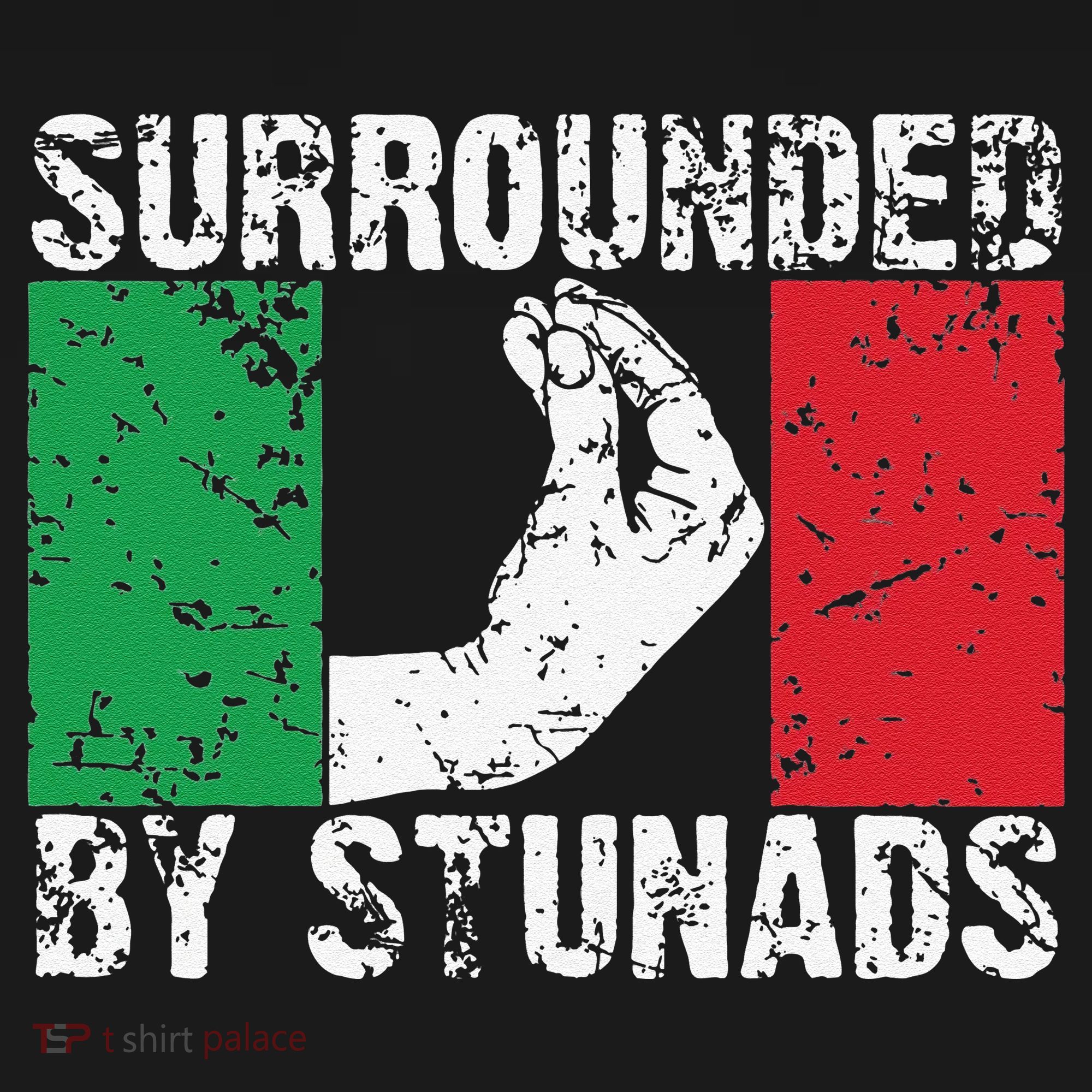 Funny Italian Gift Cool Surrounded By Stunads Gift Kids Hoodie