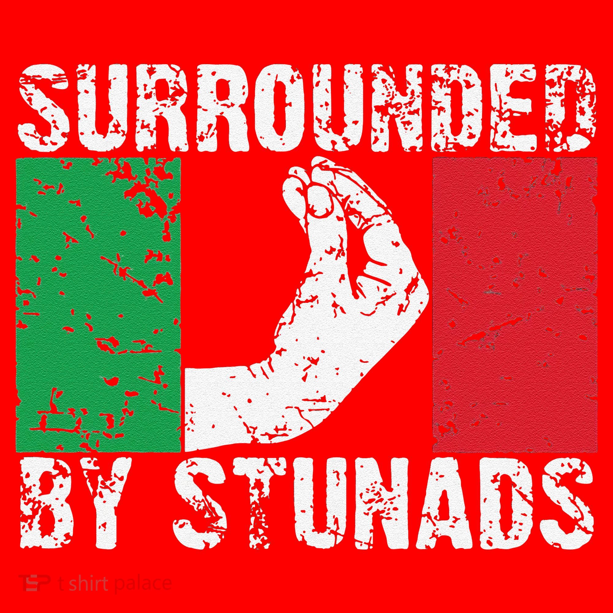 Funny Italian Gift Cool Surrounded By Stunads Gift Santa Hat