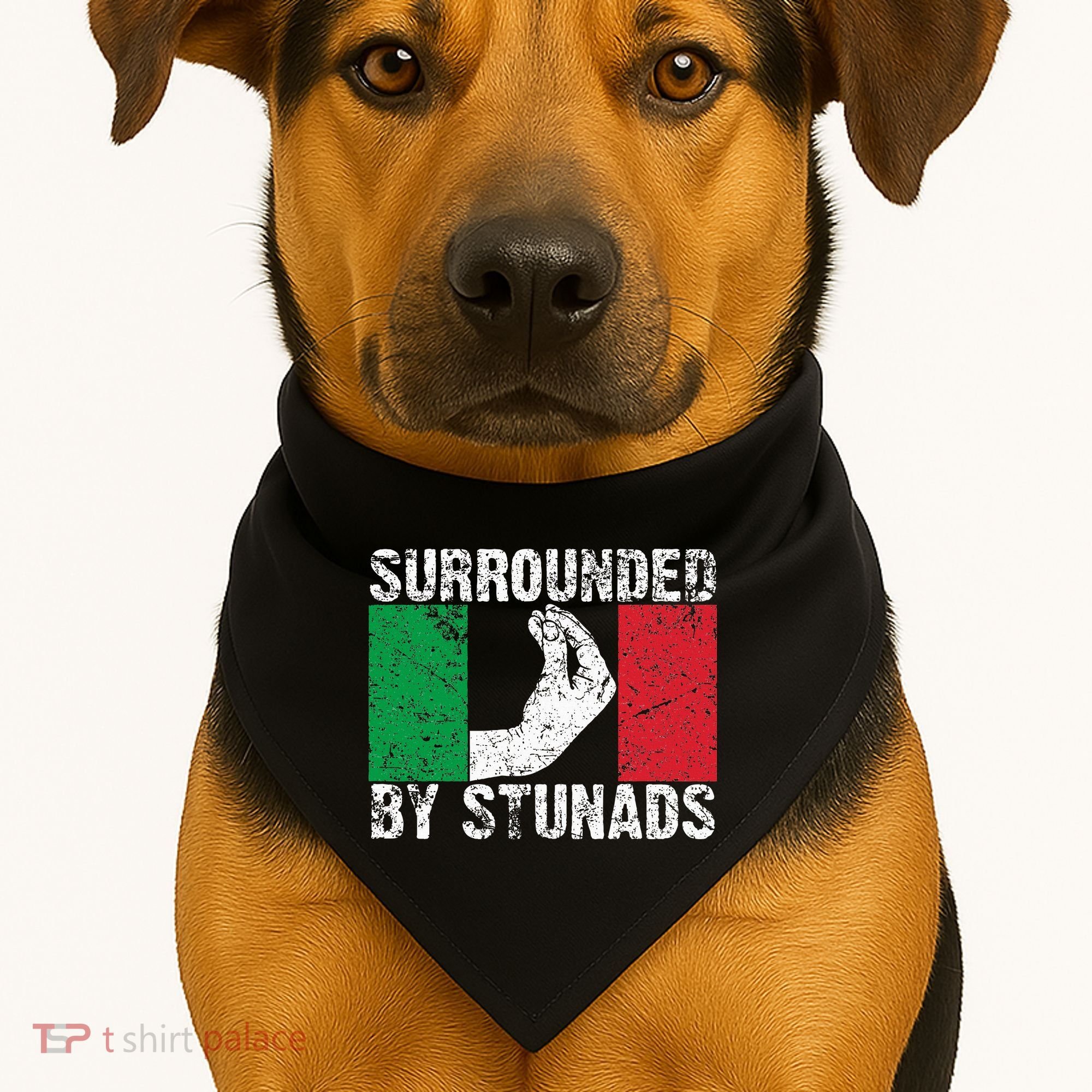 Funny Italian Gift For Cool Surrounded By Stunads USA-Made Doggie Bandana