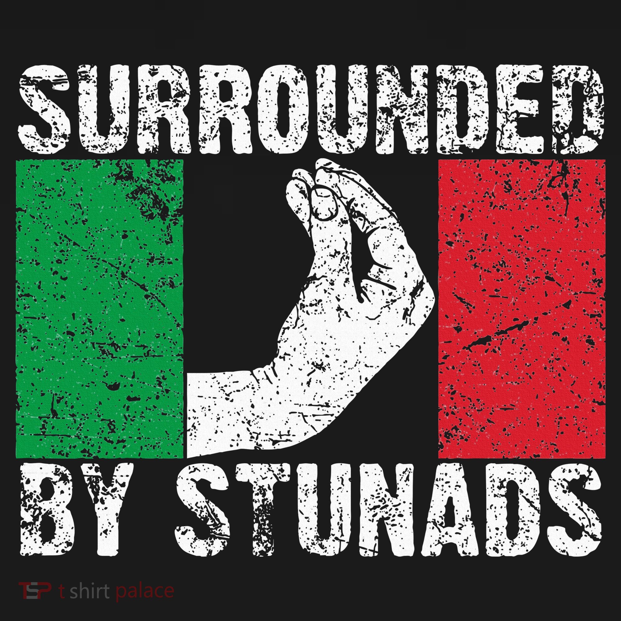 Funny Italian Gift For Cool Surrounded By Stunads USA-Made Doggie Bandana