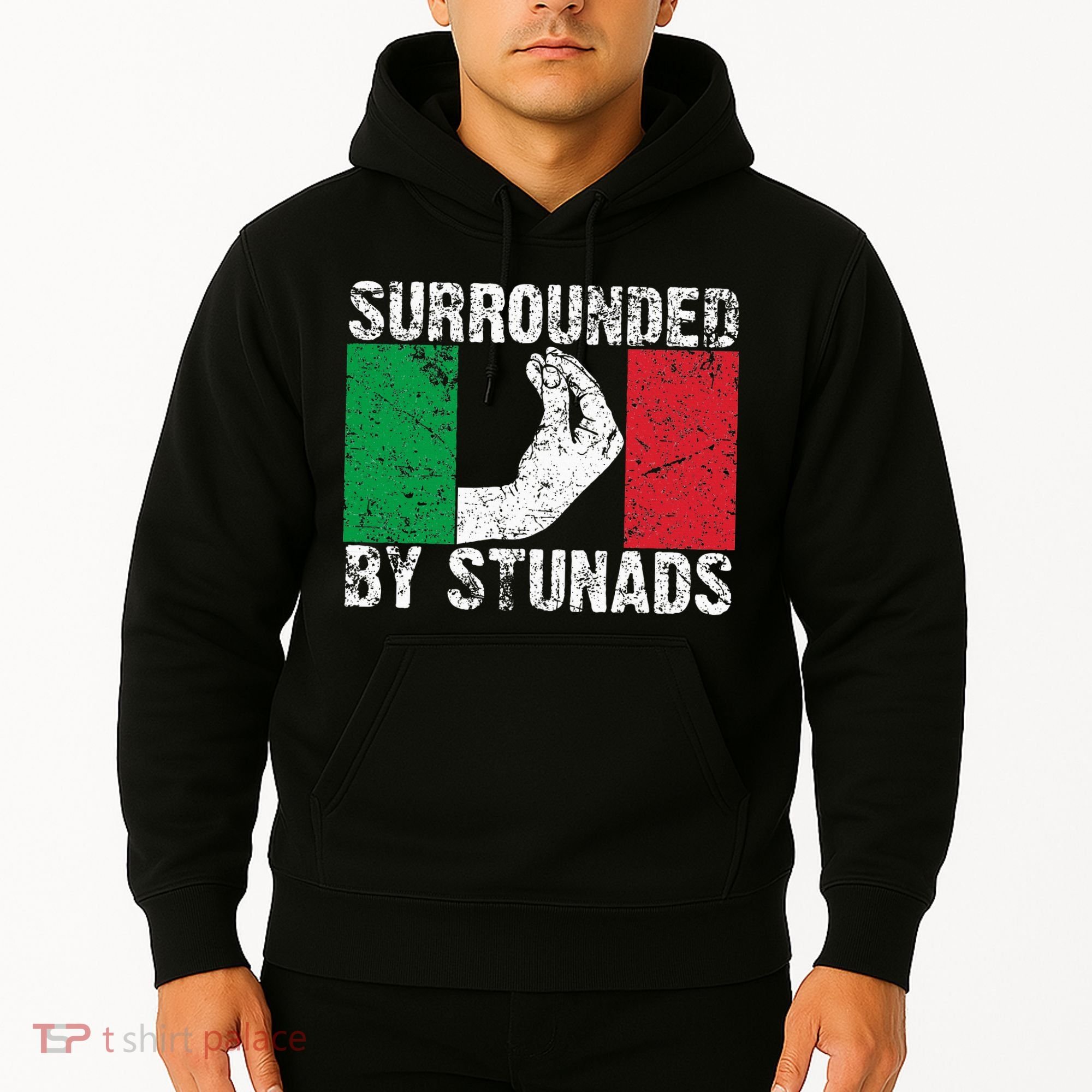 Funny Italian Gift For Cool Surrounded By Stunads Hoodie