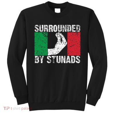 Funny Italian Gift For Cool Surrounded By Stunads Sweatshirt