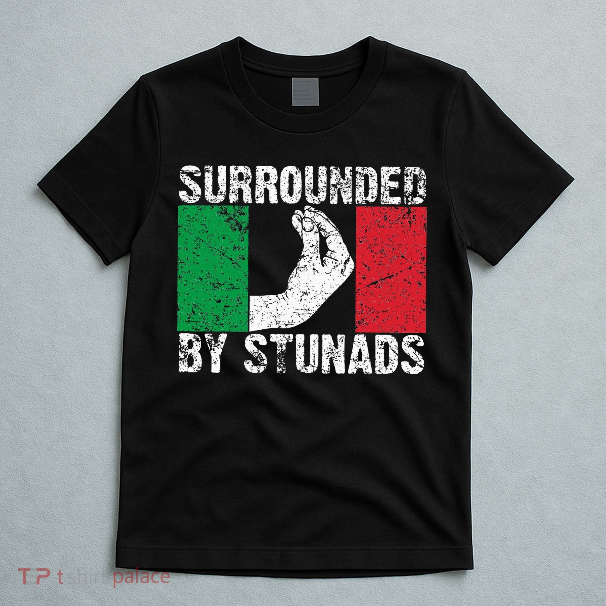 Funny Italian Gift For Cool Surrounded By Stunads T-Shirt