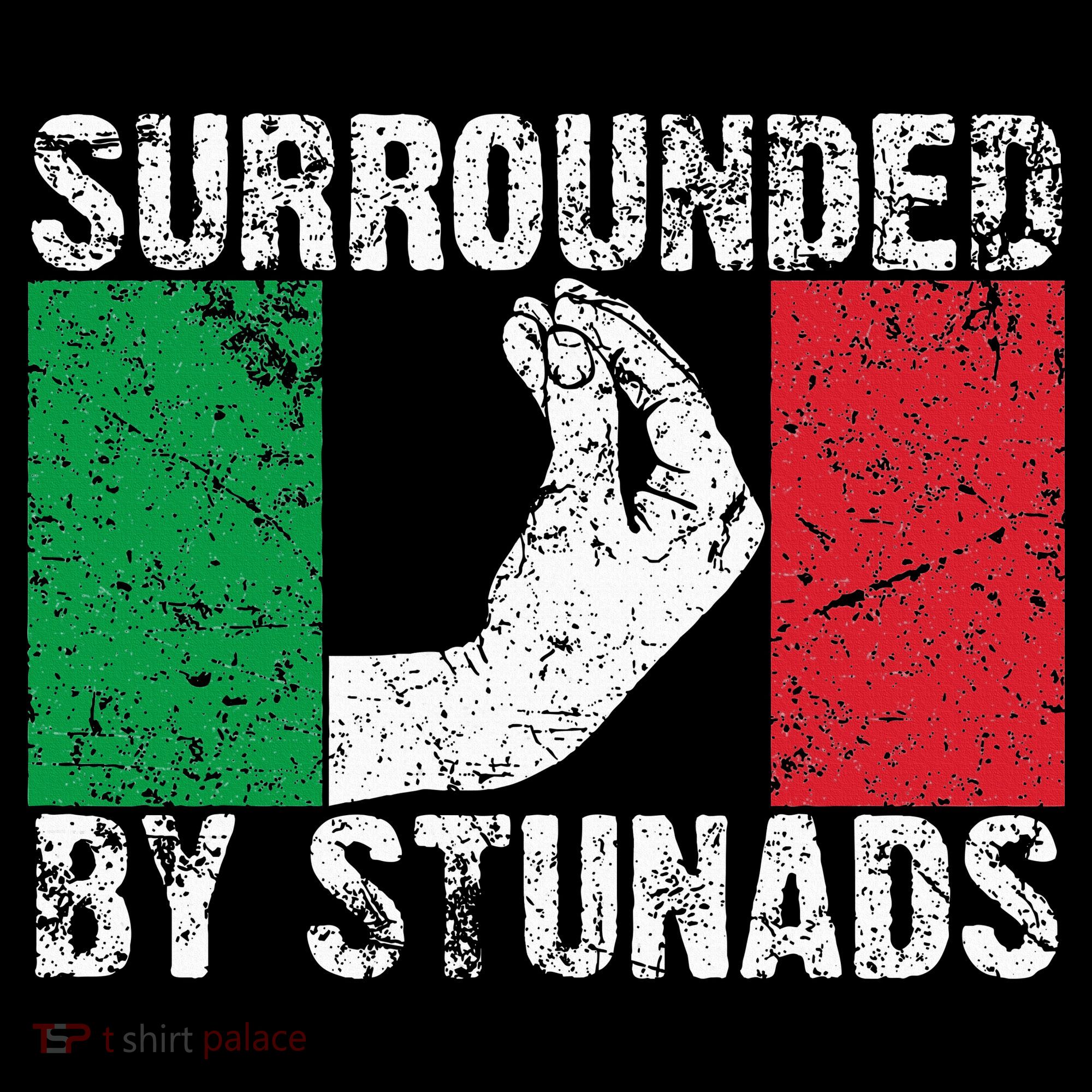 Funny Italian Gift For Cool Surrounded By Stunads Women's Hoodie