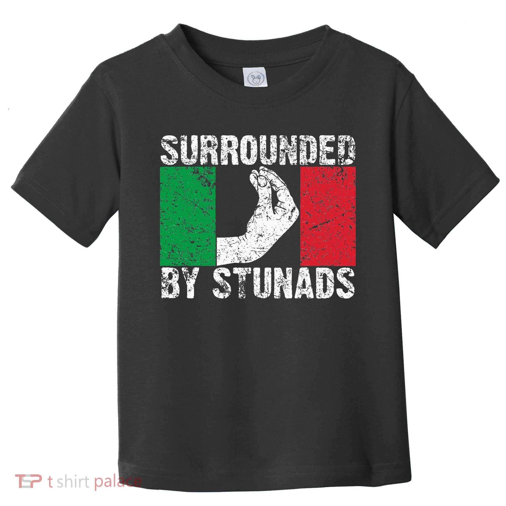 Funny Italian Gift For Cool Surrounded By Stunads Toddler T-Shirt