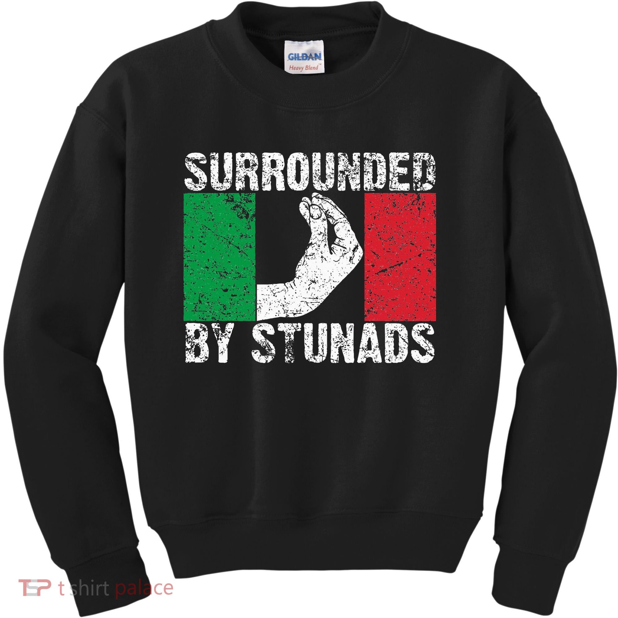 Funny Italian Gift For Cool Surrounded By Stunads Kids Sweatshirt