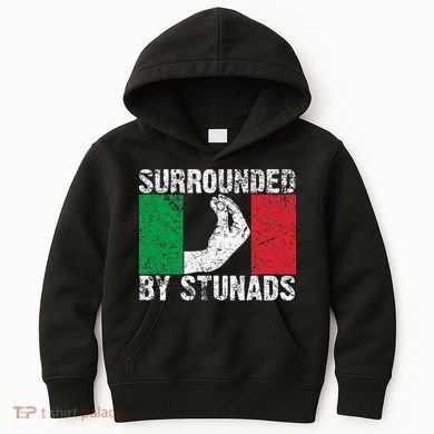 Funny Italian Gift For Cool Surrounded By Stunads Kids Hoodie
