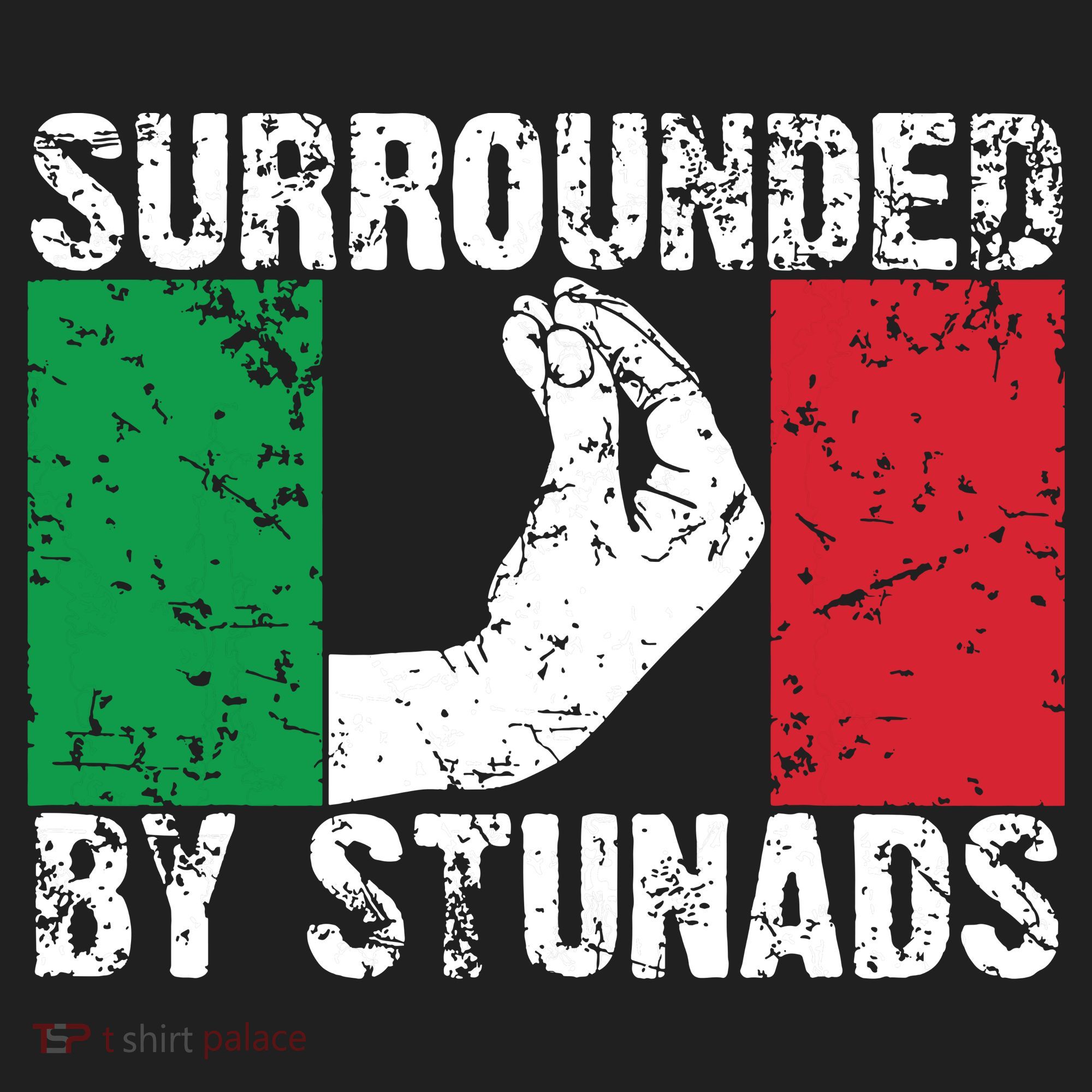 Funny Italian Gift For Men Women Cool Surrounded By Stunads Beanie