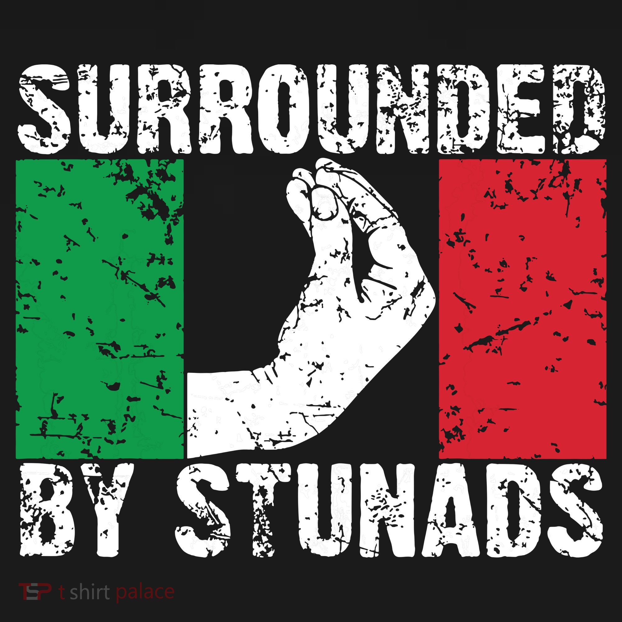 Funny Italian Gift For Men Women Cool Surrounded By Stunads Women's Hoodie