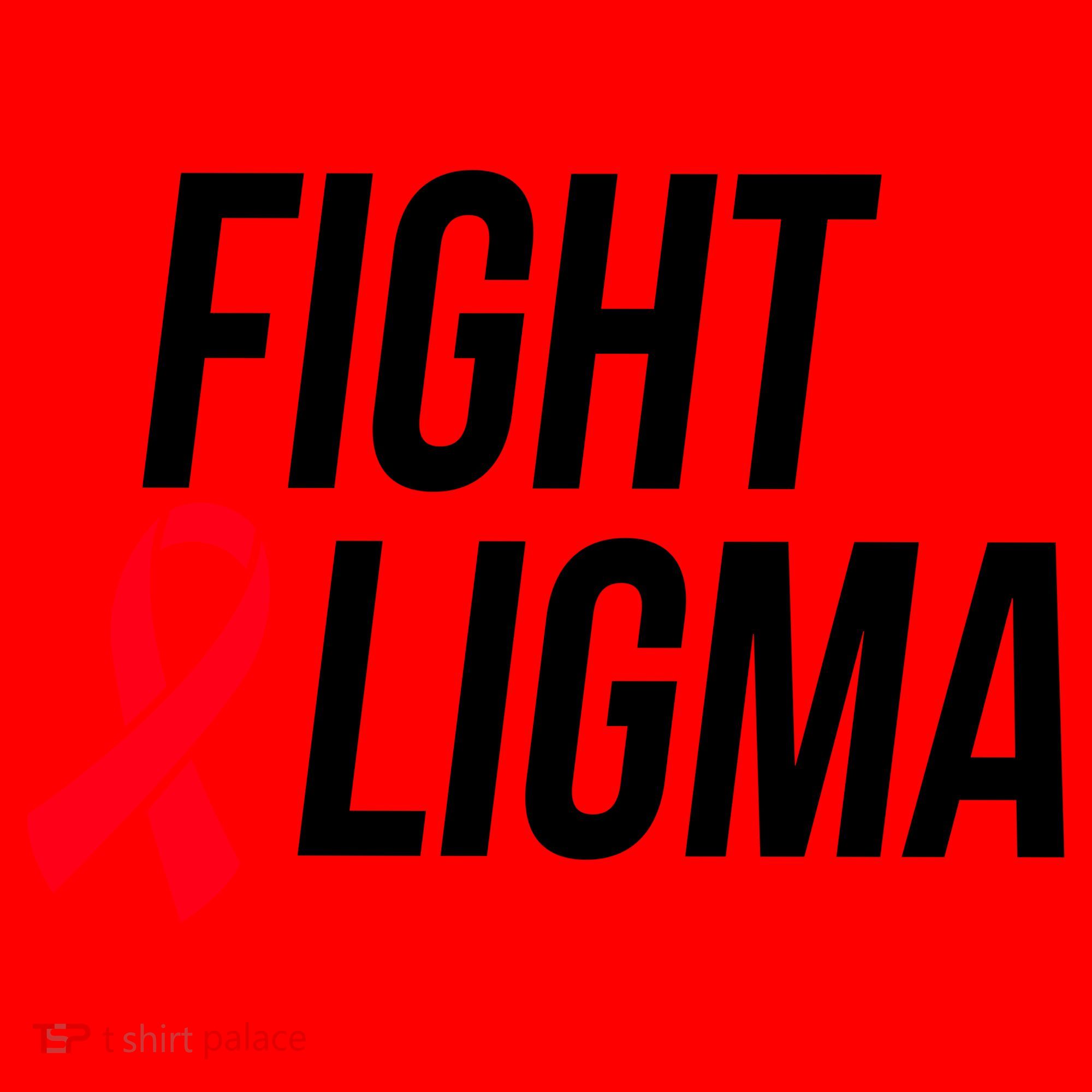 Fight Ligma Funny Meme Santa Hat
