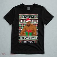 Funny I Have A Big Package For You Ugly Christmas Sweater T-Shirt thumb 5
