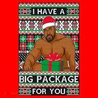 Funny I Have A Big Package For You Ugly Christmas Sweater Santa Hat thumb 1
