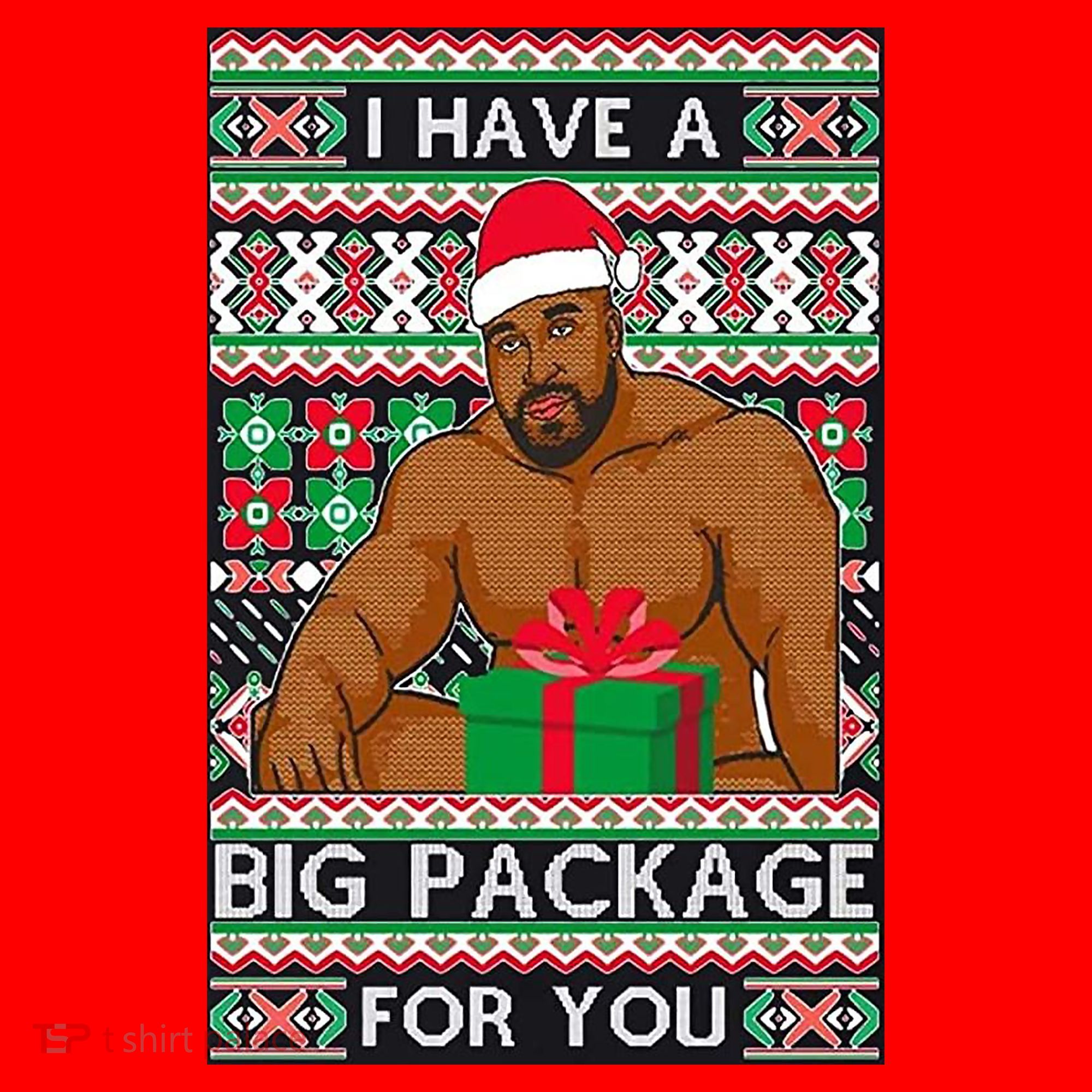 Funny I Have A Big Package For You Ugly Christmas Sweater Santa Hat