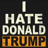 Funny I Hate Donald Trump Toddler Hoodie thumb 2