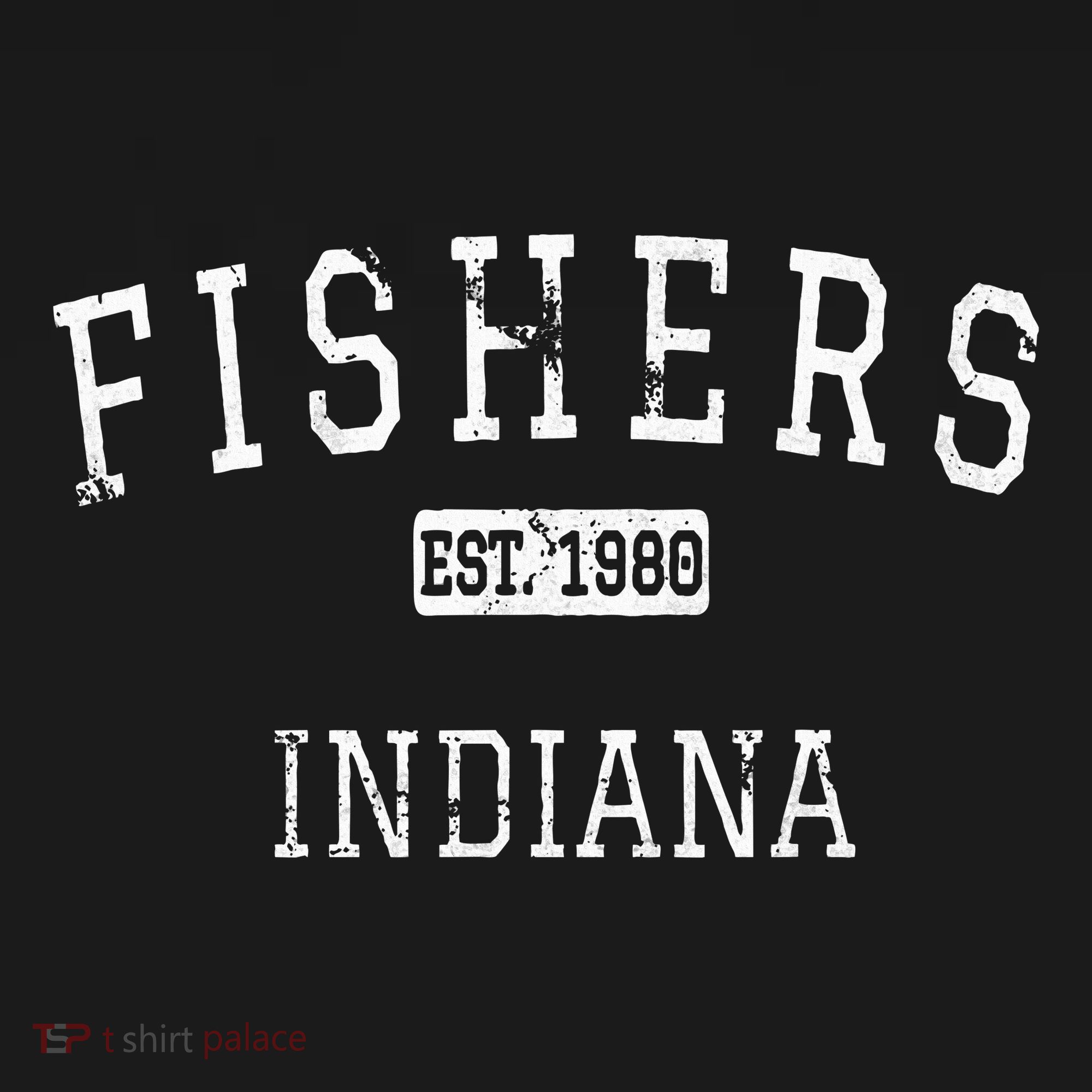 Fishers Indiana In Vintage T-Shirt