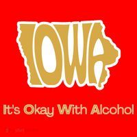 Funny Iowa Its Okay With Alcohol Iowa Joke Gift Santa Hat thumb 1