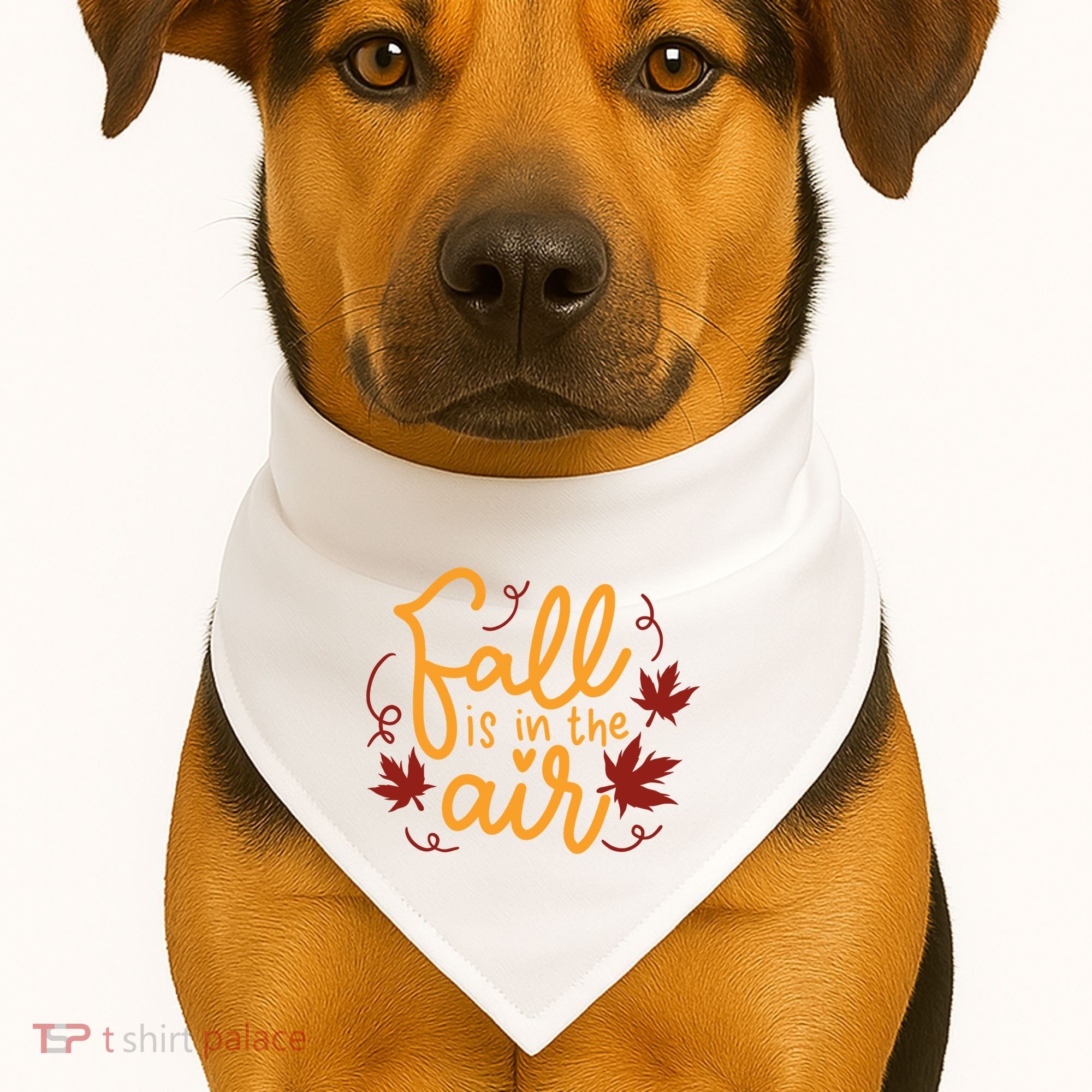 Fall Is In The Air Nature Cute USA-Made Doggie Bandana