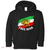 Free Iran Iranian Flag Lion Toddler Hoodie thumb 0
