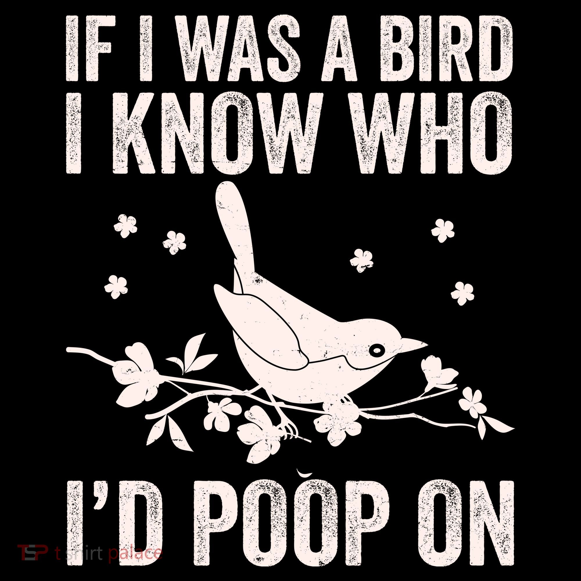 Funny If I Was A Bird I Know Who I'd Poop On Women's Hoodie