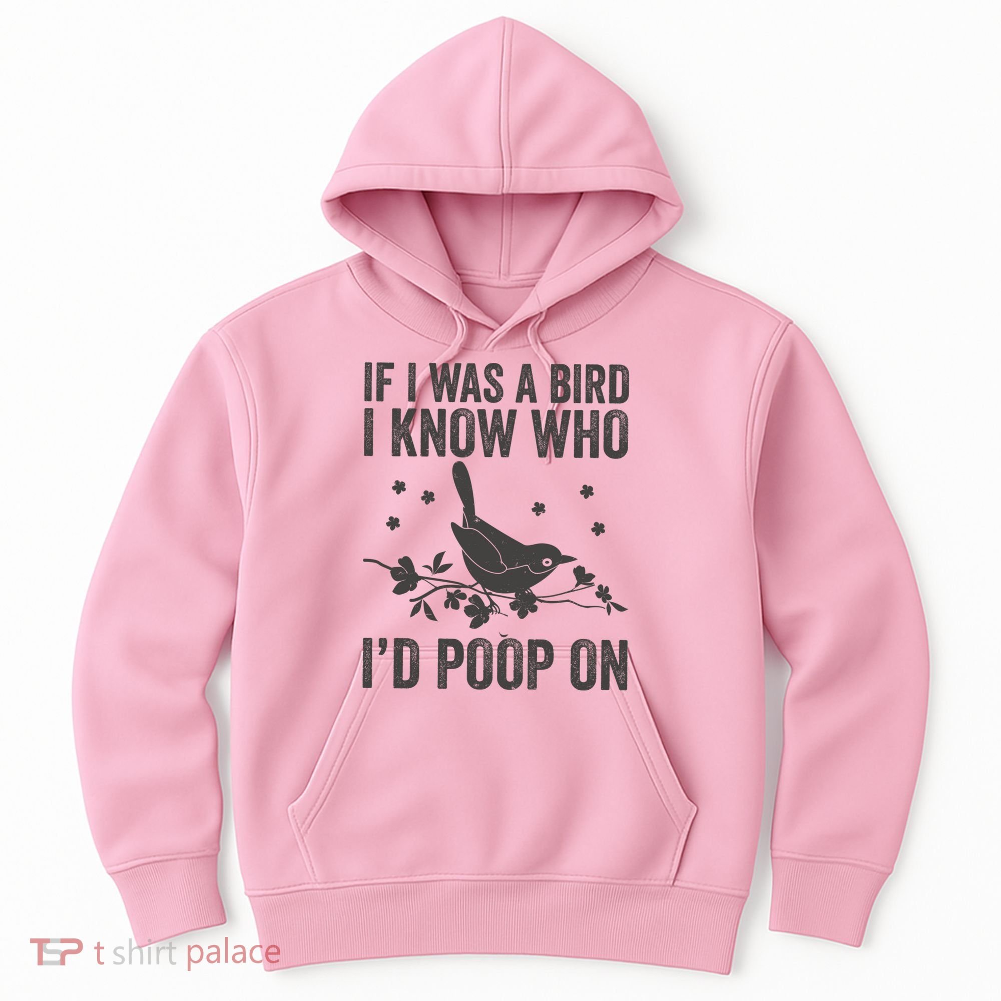 Funny If I Was A Bird I Know Who I'd Poop On Hoodie