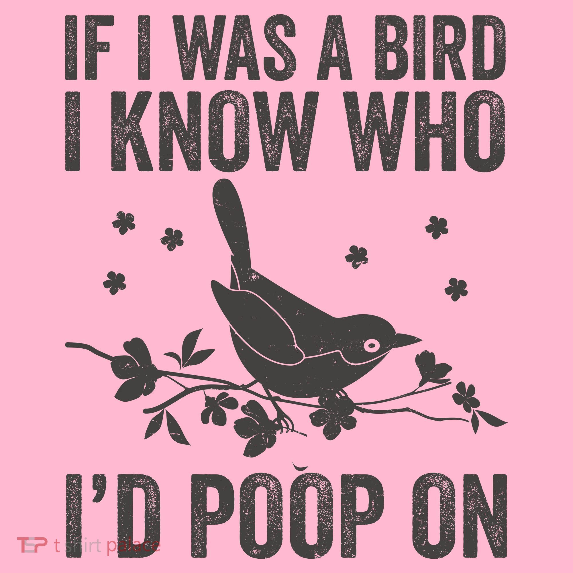 Funny If I Was A Bird I Know Who I'd Poop On Coaster