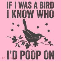 Funny If I Was A Bird I Know Who I'd Poop On Mousepad thumb 1