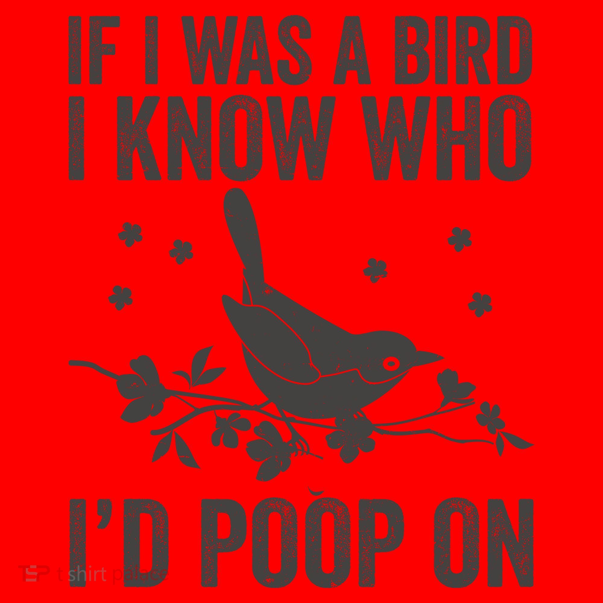 Funny If I Was A Bird I Know Who I'd Poop On Santa Hat