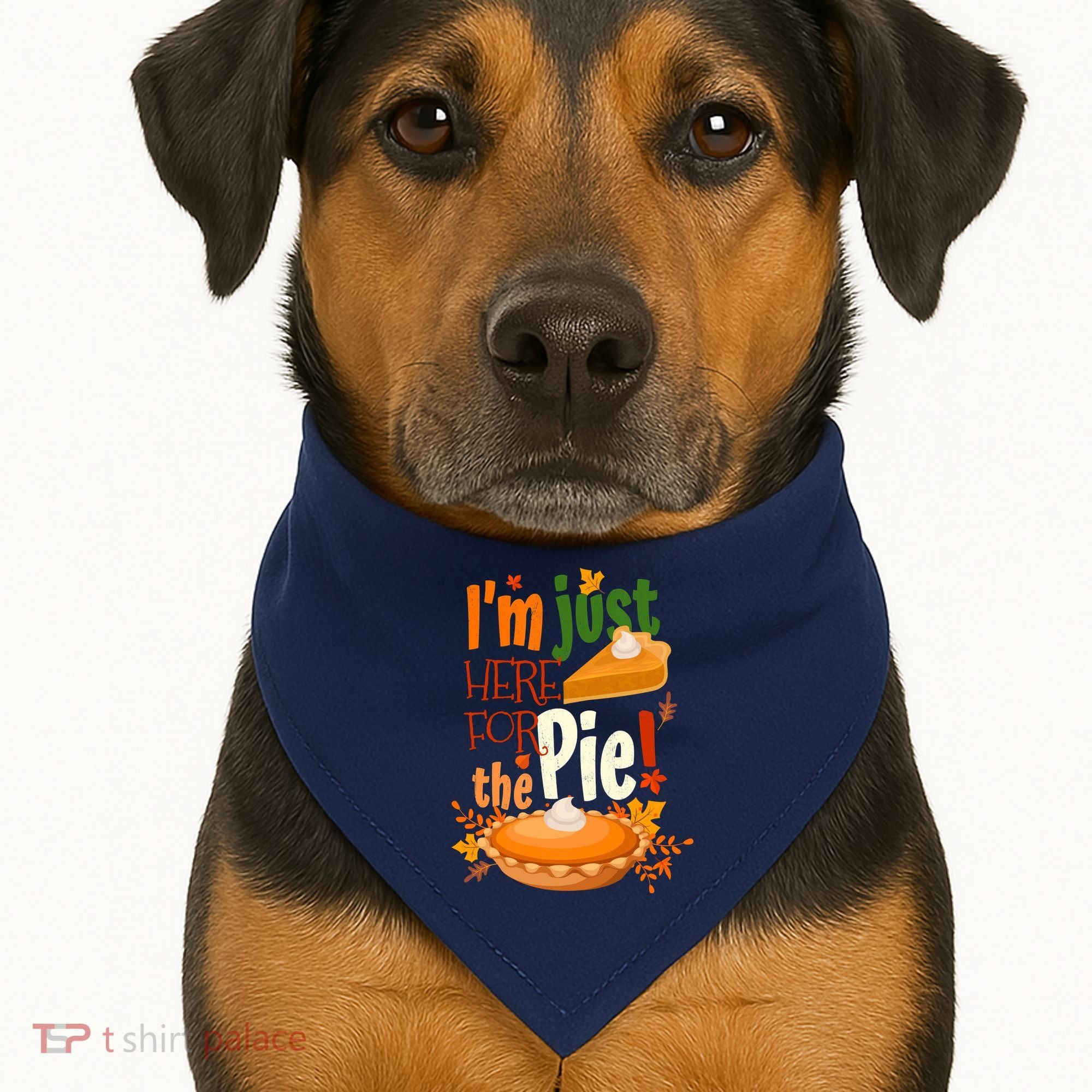 Funny I'm Just Here For The Pie Funny Thanksgiving Pumpkin Pie USA-Made Doggie Bandana