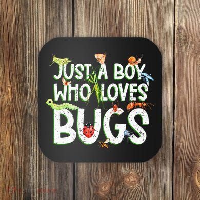 Funny Insect Just A Boy Who Loves Bug Coaster