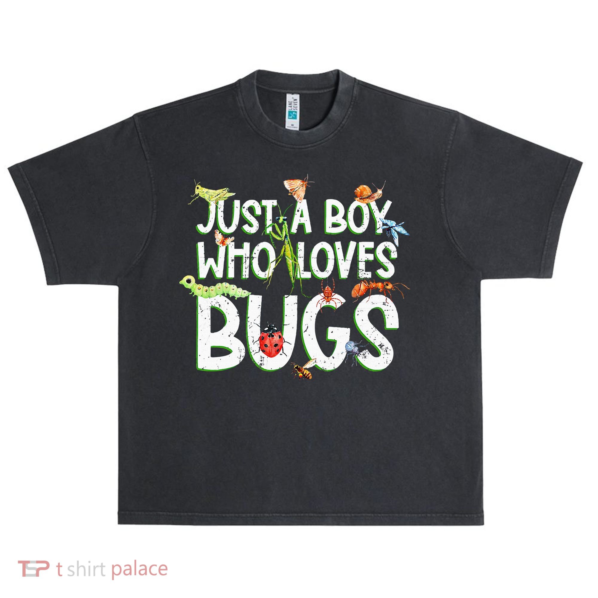Funny Insect Just A Boy Who Loves Bug Urban Oversized Heavyweight T-Shirt