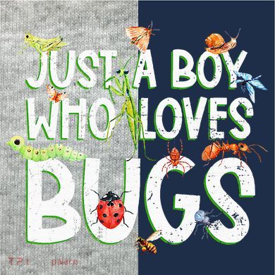 Funny Insect Just A Boy Who Loves Bug Kids Colorblock Raglan Jersey