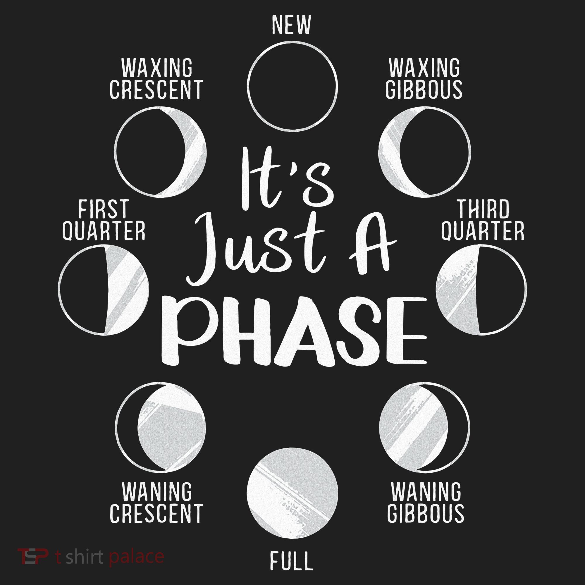 funny It's Just A Phase Moon Cycle Phases Of The Astronomy Beanie