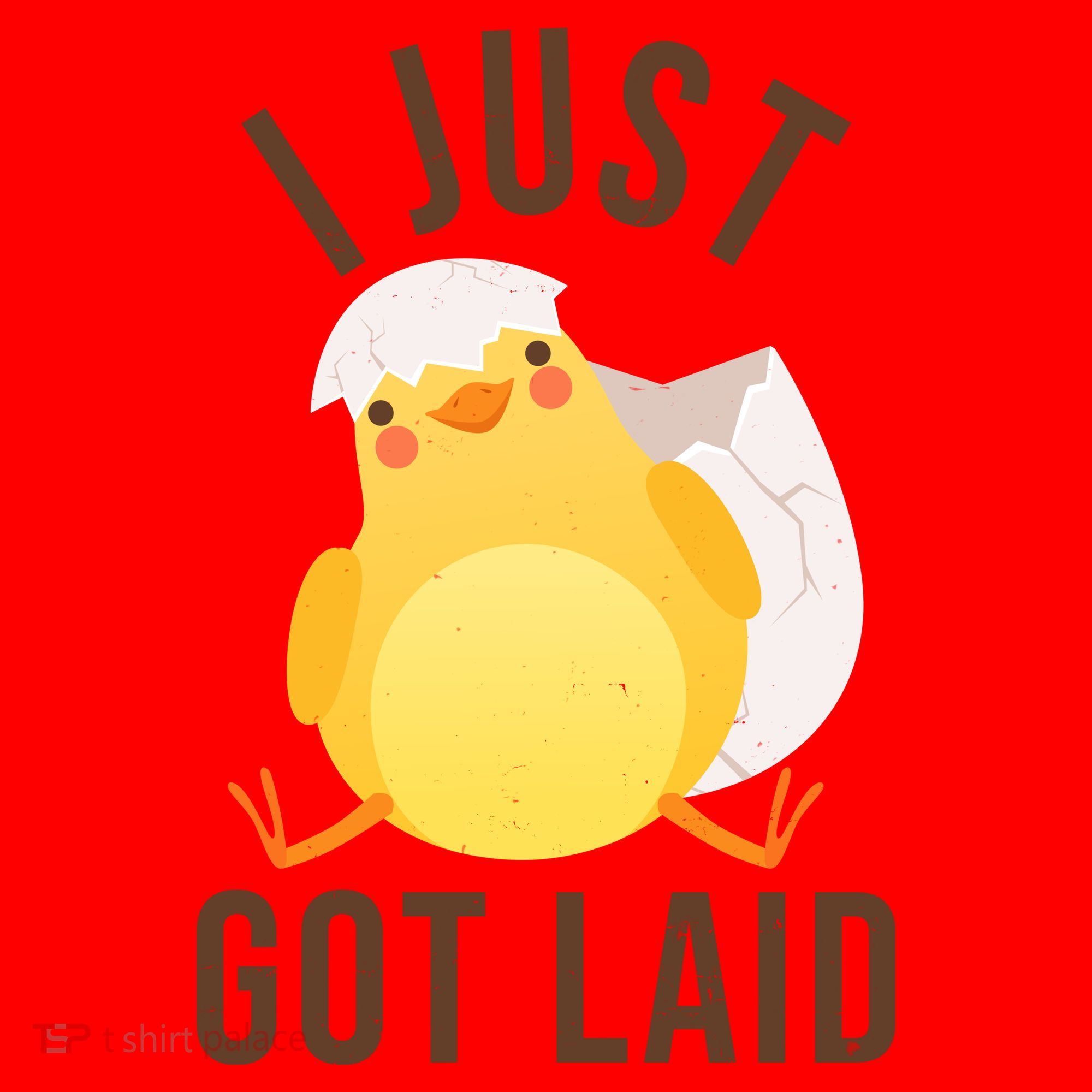 Funny I Just Got Laid Chick Santa Hat