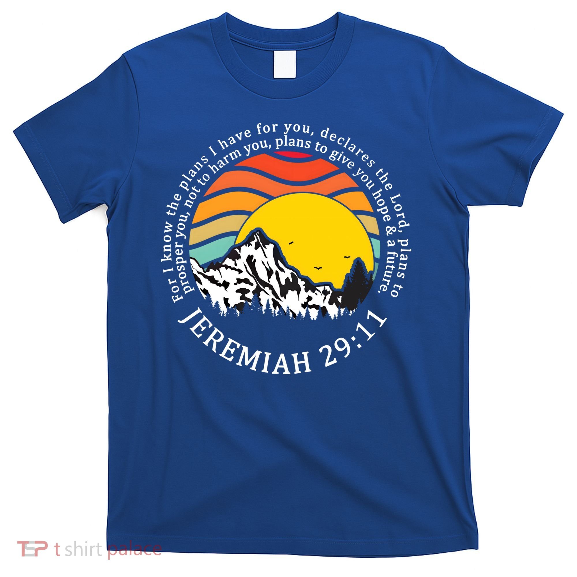 For I Know The Plans I Have For You Bible Jeremiah 29:11 Meaningful Gift T-Shirt