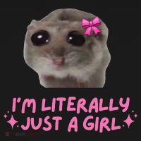 Funny IM Literally Just A Girl Sad Hamster Meme Gift Women's Hoodie thumb 2