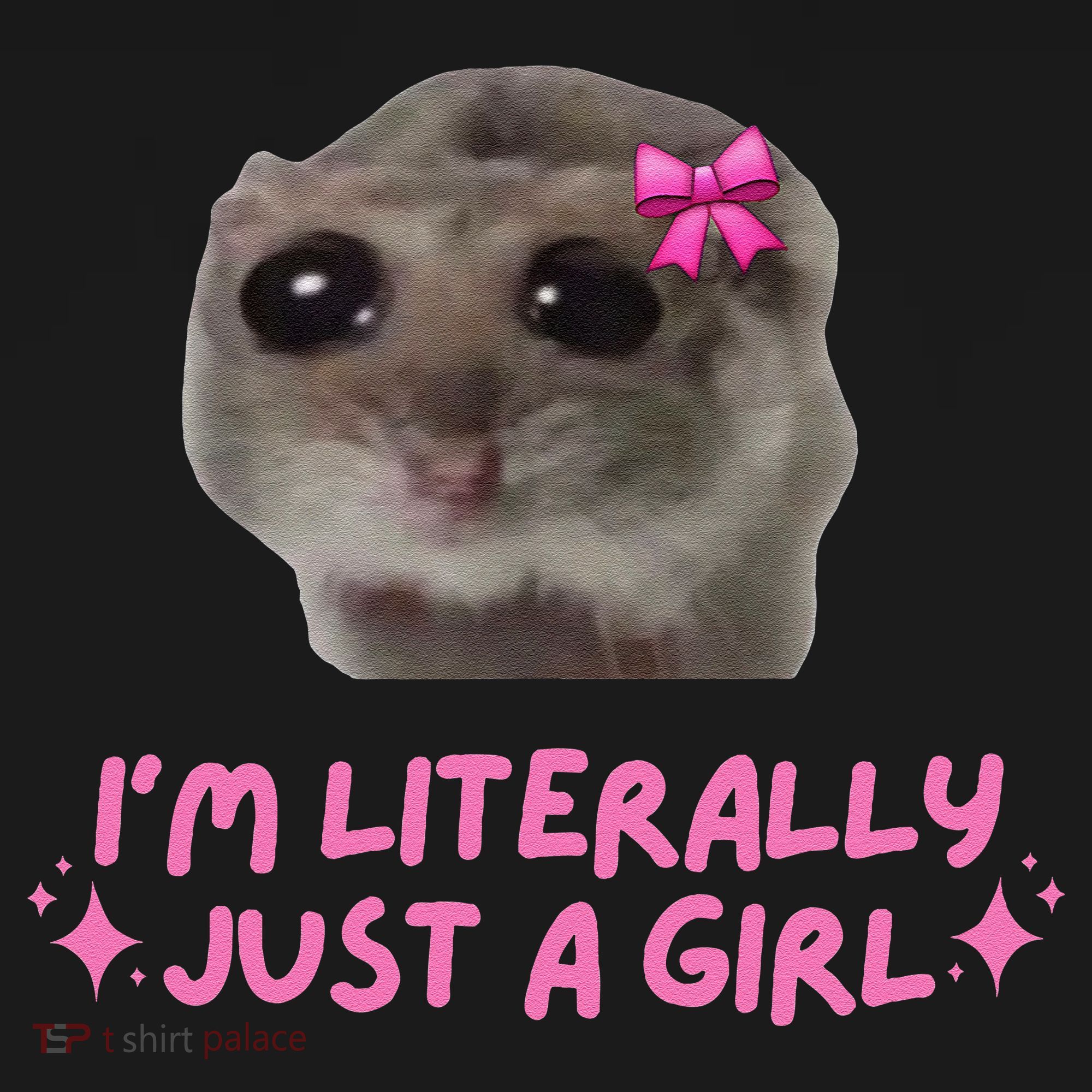 Funny IM Literally Just A Girl Sad Hamster Meme Gift Women's Hoodie