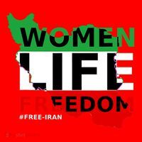 Free Iran Life Freedom Stand With Persian Cute Gift Santa Hat thumb 1