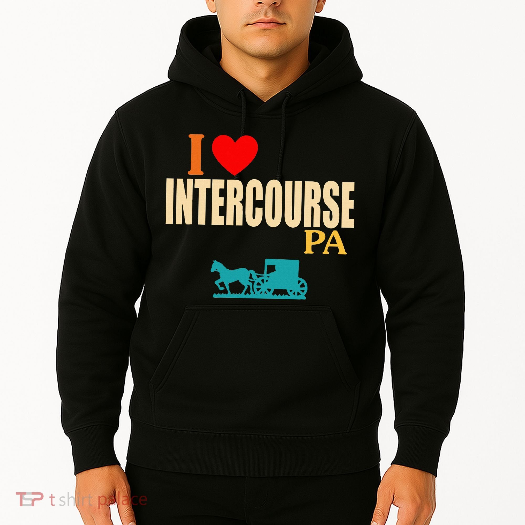 Funny I Love Intercourse Pa Apparel Hoodie
