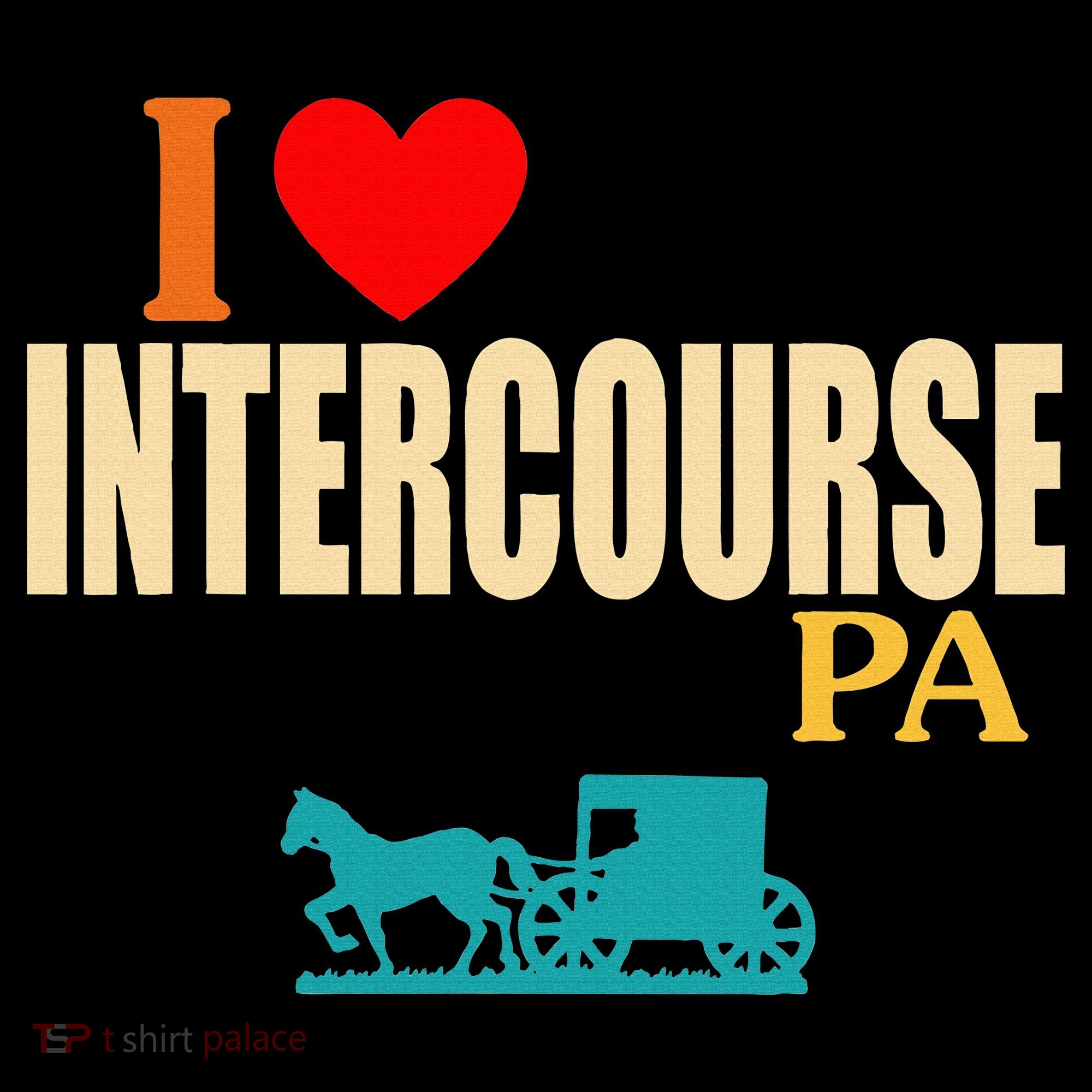 Funny I Love Intercourse Pa Apparel Sweatshirt