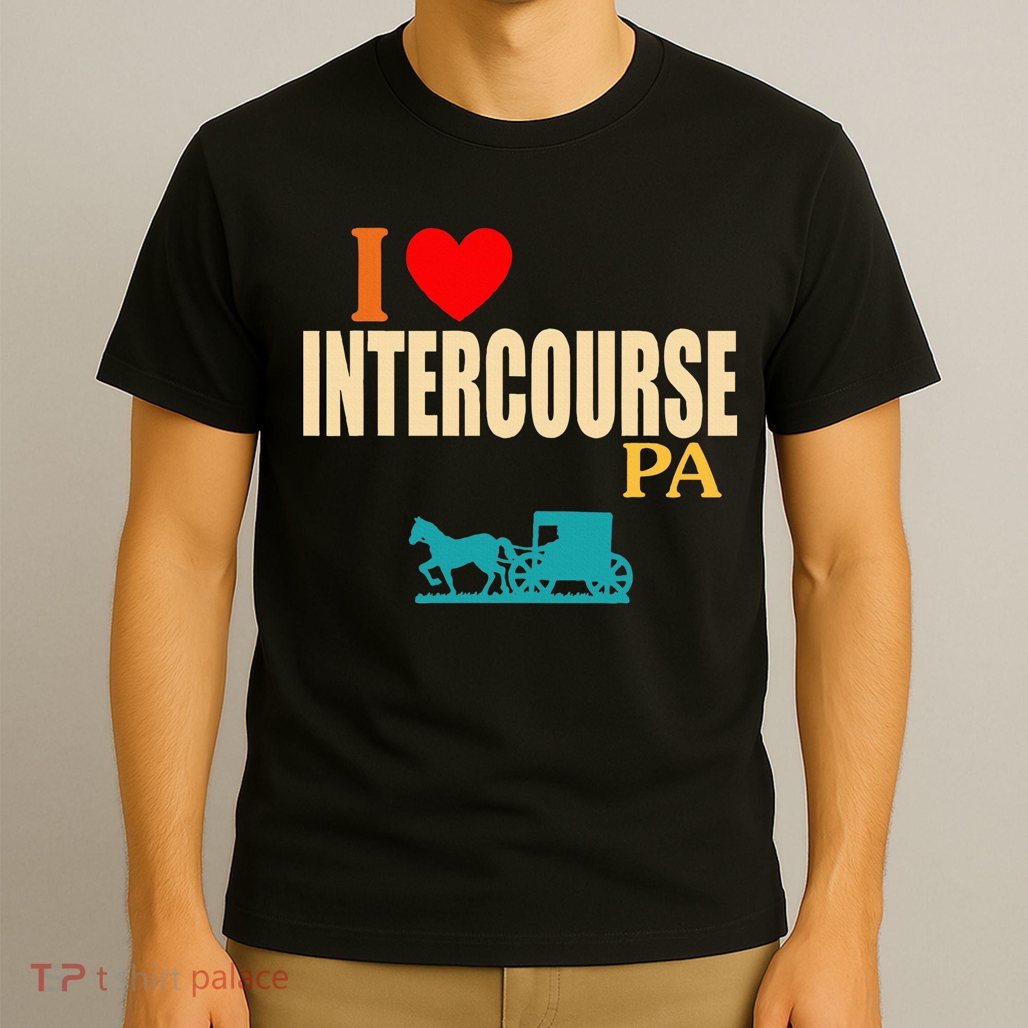 Funny I Love Intercourse Pa Apparel T-Shirt