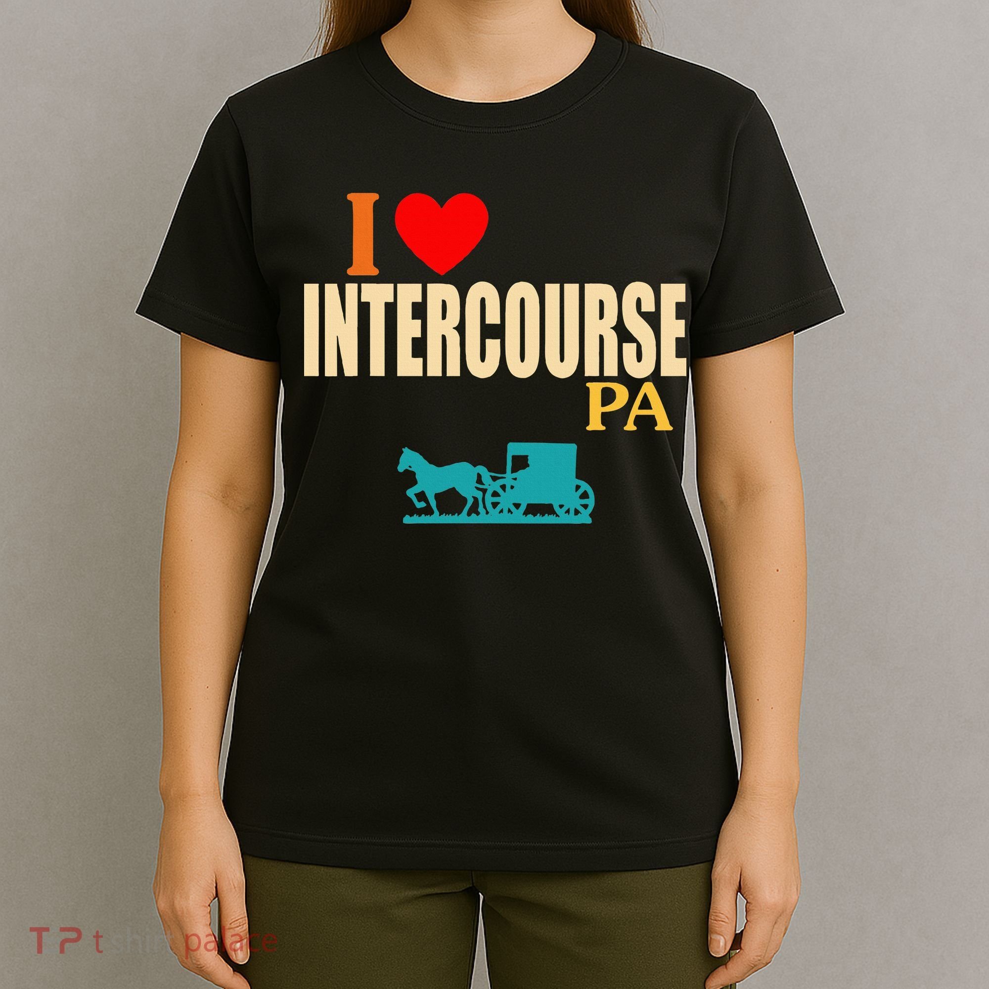 Funny I Love Intercourse Pa Apparel T-Shirt