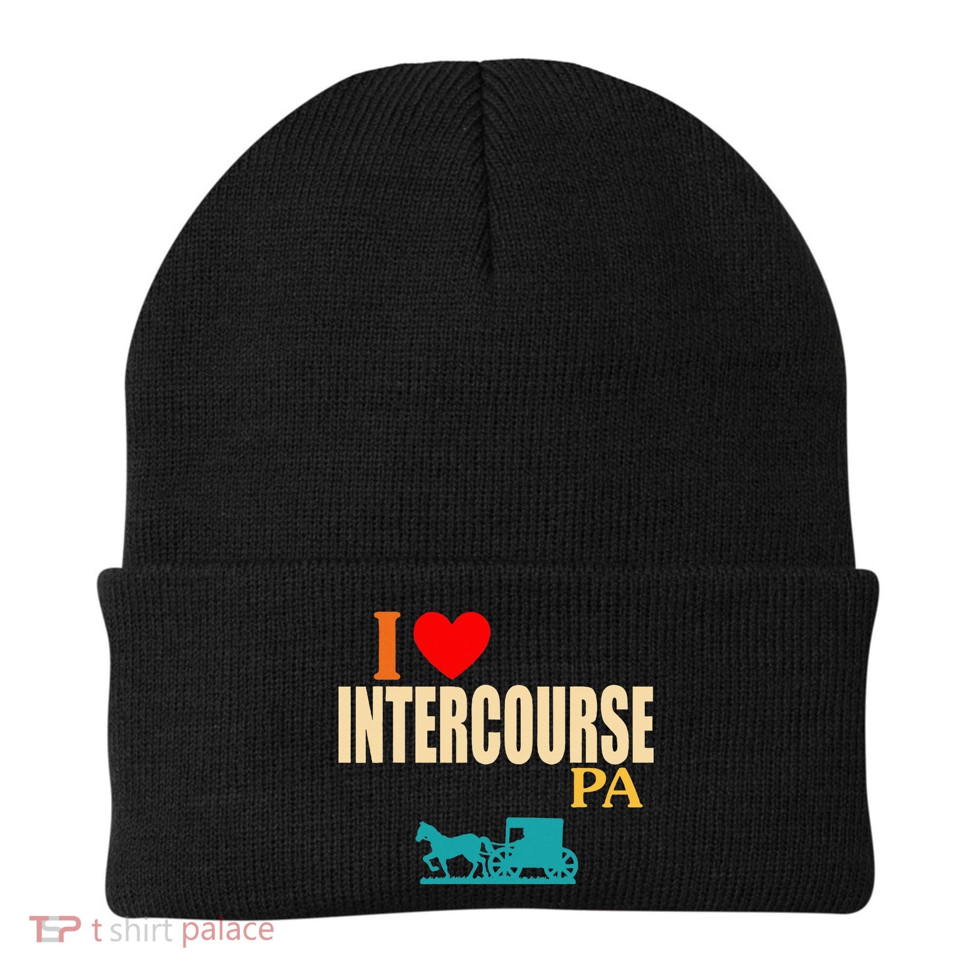 Funny I Love Intercourse Pa Apparel Beanie