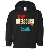 Funny I Love Intercourse Pa Apparel Toddler Hoodie thumb 0