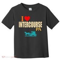 Funny I Love Intercourse Pa Apparel Toddler T-Shirt thumb 0